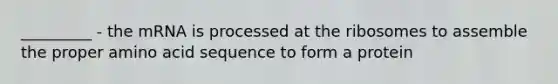 _________ - the mRNA is processed at the ribosomes to assemble the proper amino acid sequence to form a protein