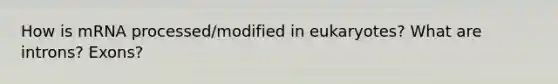 How is mRNA processed/modified in eukaryotes? What are introns? Exons?