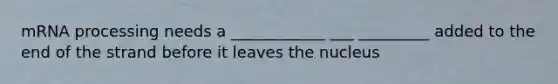 mRNA processing needs a ____________ ___ _________ added to the end of the strand before it leaves the nucleus