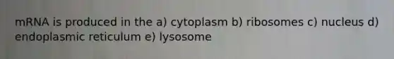 mRNA is produced in the a) cytoplasm b) ribosomes c) nucleus d) endoplasmic reticulum e) lysosome