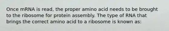 Once mRNA is read, the proper amino acid needs to be brought to the ribosome for protein assembly. The type of RNA that brings the correct amino acid to a ribosome is known as: