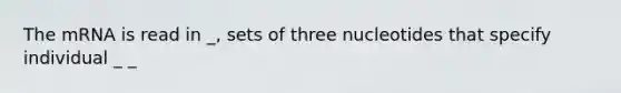 The mRNA is read in _, sets of three nucleotides that specify individual _ _