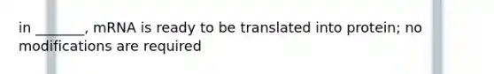 in _______, mRNA is ready to be translated into protein; no modifications are required