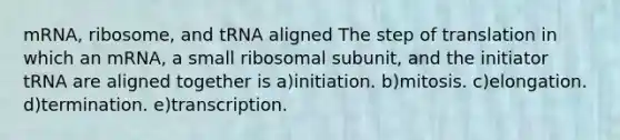 mRNA, ribosome, and tRNA aligned The step of translation in which an mRNA, a small ribosomal subunit, and the initiator tRNA are aligned together is a)initiation. b)mitosis. c)elongation. d)termination. e)transcription.