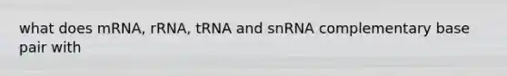 what does mRNA, rRNA, tRNA and snRNA complementary base pair with