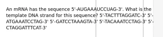 An mRNA has the sequence 5'-AUGAAAUCCUAG-3'. What is the template DNA strand for this sequence? 5'-TACTTTAGGATC-3' 5'-ATGAAATCCTAG-3' 5'-GATCCTAAAGTA-3' 5'-TACAAATCCTAG-3' 5'-CTAGGATTTCAT-3'