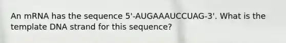 An mRNA has the sequence 5'-AUGAAAUCCUAG-3'. What is the template DNA strand for this sequence?