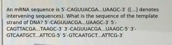 An mRNA sequence is 5′-CAGUUACGA...UAAGC-3′ ([...] denotes intervening sequences). What is the sequence of the template strand of DNA? 5′-CAGUUACGA...UAAGC-3′ 5′-CAGTTACGA...TAAGC-3′ 3′-CAGUUACGA...UAAGC-5′ 3′-GTCAATGCT...ATTCG-5′ 5′-GTCAATGCT...ATTCG-3′