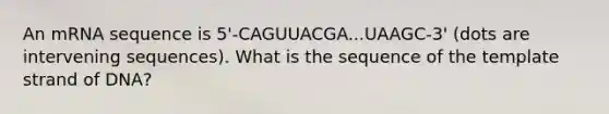 An mRNA sequence is 5'-CAGUUACGA...UAAGC-3' (dots are intervening sequences). What is the sequence of the template strand of DNA?