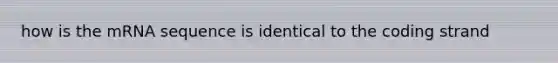 how is the mRNA sequence is identical to the coding strand