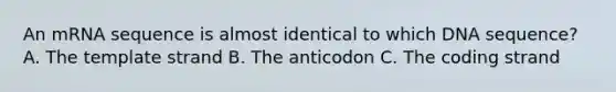 An mRNA sequence is almost identical to which DNA sequence? A. The template strand B. The anticodon C. The coding strand