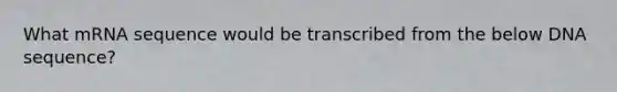 What mRNA sequence would be transcribed from the below DNA sequence?