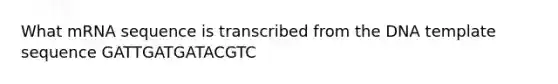 What mRNA sequence is transcribed from the DNA template sequence GATTGATGATACGTC