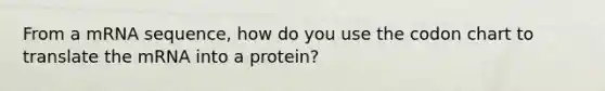 From a mRNA sequence, how do you use the codon chart to translate the mRNA into a protein?