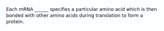 Each mRNA ______ specifies a particular amino acid which is then bonded with other amino acids during translation to form a protein.