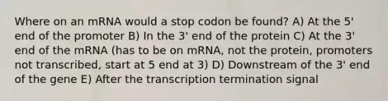 Where on an mRNA would a stop codon be found? A) At the 5' end of the promoter B) In the 3' end of the protein C) At the 3' end of the mRNA (has to be on mRNA, not the protein, promoters not transcribed, start at 5 end at 3) D) Downstream of the 3' end of the gene E) After the transcription termination signal