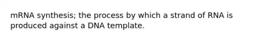 mRNA synthesis; the process by which a strand of RNA is produced against a DNA template.