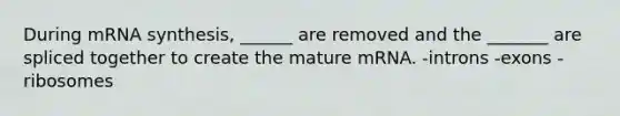 During mRNA synthesis, ______ are removed and the _______ are spliced together to create the mature mRNA. -introns -exons -ribosomes