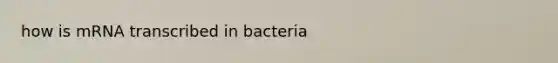 how is mRNA transcribed in bacteria