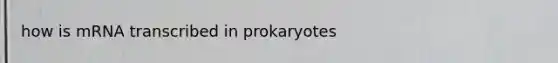 how is mRNA transcribed in prokaryotes