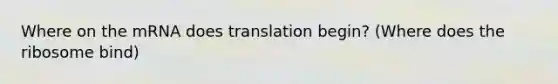 Where on the mRNA does translation begin? (Where does the ribosome bind)