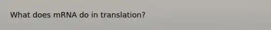 What does mRNA do in translation?