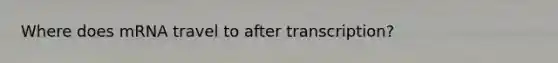 Where does mRNA travel to after transcription?