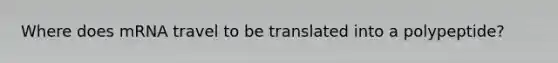 Where does mRNA travel to be translated into a polypeptide?