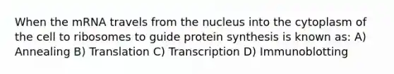 When the mRNA travels from the nucleus into the cytoplasm of the cell to ribosomes to guide protein synthesis is known as: A) Annealing B) Translation C) Transcription D) Immunoblotting