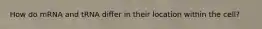 How do mRNA and tRNA differ in their location within the cell?