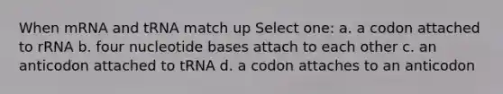 When mRNA and tRNA match up Select one: a. a codon attached to rRNA b. four nucleotide bases attach to each other c. an anticodon attached to tRNA d. a codon attaches to an anticodon