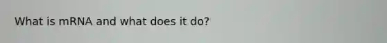 What is mRNA and what does it do?