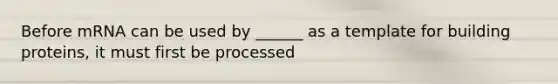 Before mRNA can be used by ______ as a template for building proteins, it must first be processed