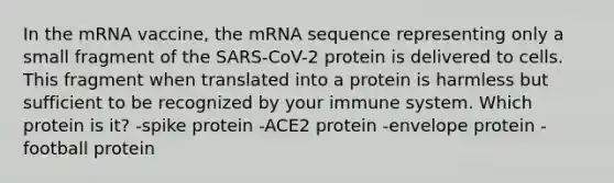 In the mRNA vaccine, the mRNA sequence representing only a small fragment of the SARS-CoV-2 protein is delivered to cells. This fragment when translated into a protein is harmless but sufficient to be recognized by your immune system. Which protein is it? -spike protein -ACE2 protein -envelope protein -football protein