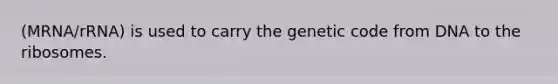 (MRNA/rRNA) is used to carry the genetic code from DNA to the ribosomes.