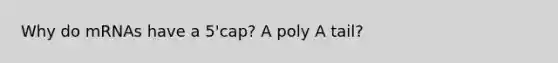 Why do mRNAs have a 5'cap? A poly A tail?