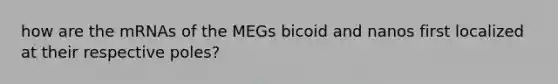 how are the mRNAs of the MEGs bicoid and nanos first localized at their respective poles?