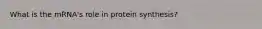 What is the mRNA's role in protein synthesis?