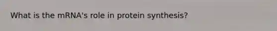 What is the mRNA's role in protein synthesis?