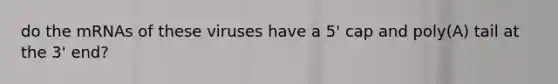 do the mRNAs of these viruses have a 5' cap and poly(A) tail at the 3' end?