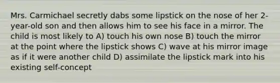 Mrs. Carmichael secretly dabs some lipstick on the nose of her 2-year-old son and then allows him to see his face in a mirror. The child is most likely to A) touch his own nose B) touch the mirror at the point where the lipstick shows C) wave at his mirror image as if it were another child D) assimilate the lipstick mark into his existing self-concept