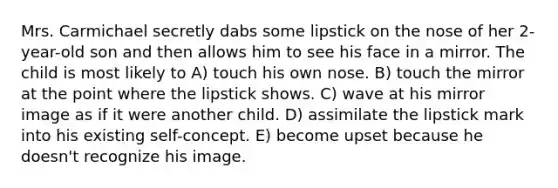 Mrs. Carmichael secretly dabs some lipstick on the nose of her 2-year-old son and then allows him to see his face in a mirror. The child is most likely to A) touch his own nose. B) touch the mirror at the point where the lipstick shows. C) wave at his mirror image as if it were another child. D) assimilate the lipstick mark into his existing self-concept. E) become upset because he doesn't recognize his image.