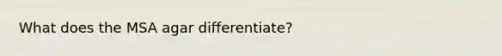 What does the MSA agar differentiate?