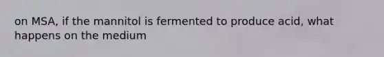 on MSA, if the mannitol is fermented to produce acid, what happens on the medium