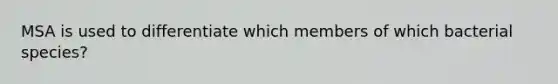 MSA is used to differentiate which members of which bacterial species?