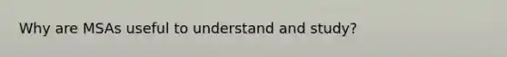 Why are MSAs useful to understand and study?