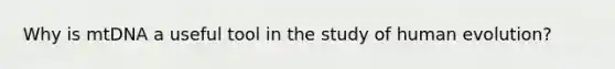 Why is mtDNA a useful tool in the study of human evolution?