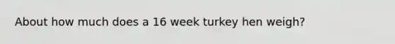 About how much does a 16 week turkey hen weigh?