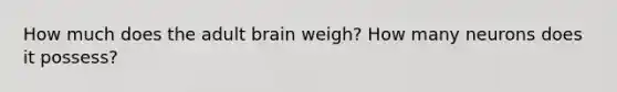 How much does the adult brain weigh? How many neurons does it possess?