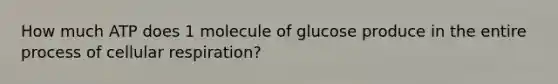 How much ATP does 1 molecule of glucose produce in the entire process of cellular respiration?